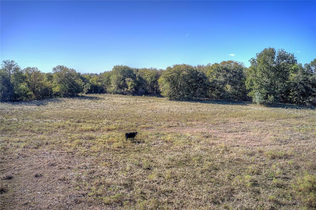 Lot 1 County Road 308 Property Photo 2
