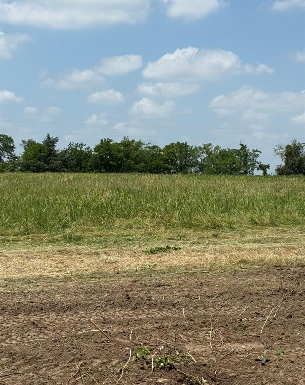 Lot 1 County Road 308 Property Photo 4