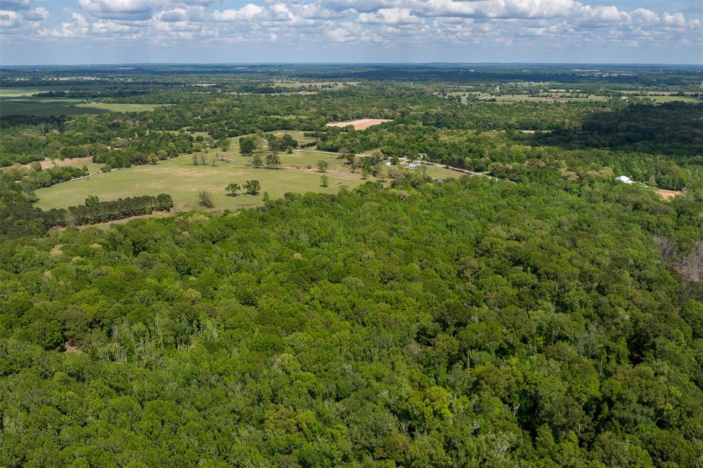 3672 E Fm 1861 Property Photo 5