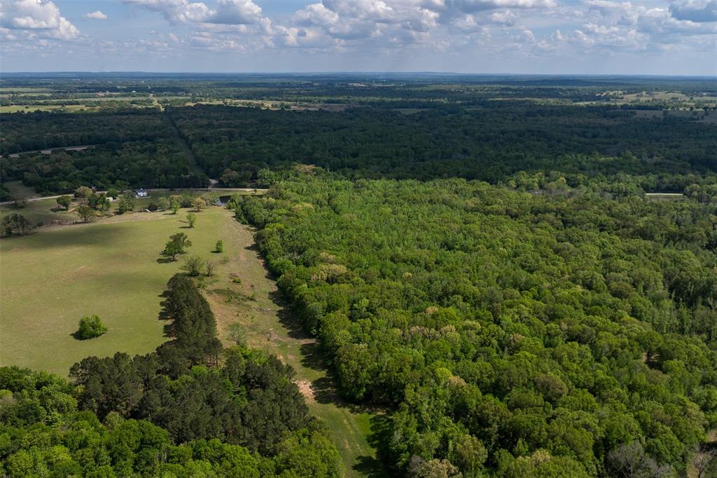 3672 E Fm 1861 Property Photo 6