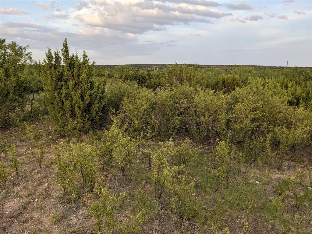4801 Fm 1086 Property Photo 14
