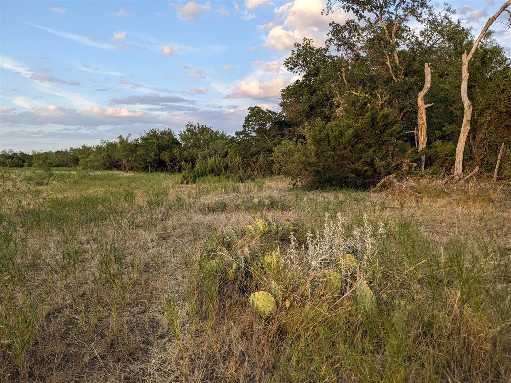 4801 Fm 1086 Property Photo 17