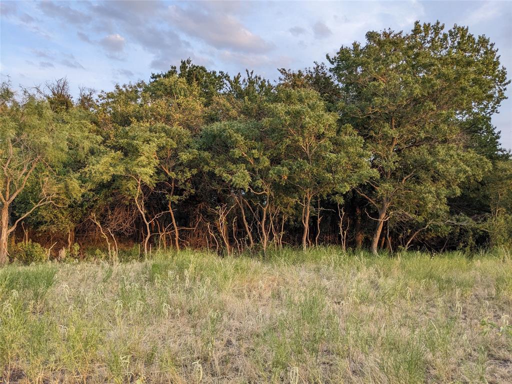 4801 Fm 1086 Property Photo 18