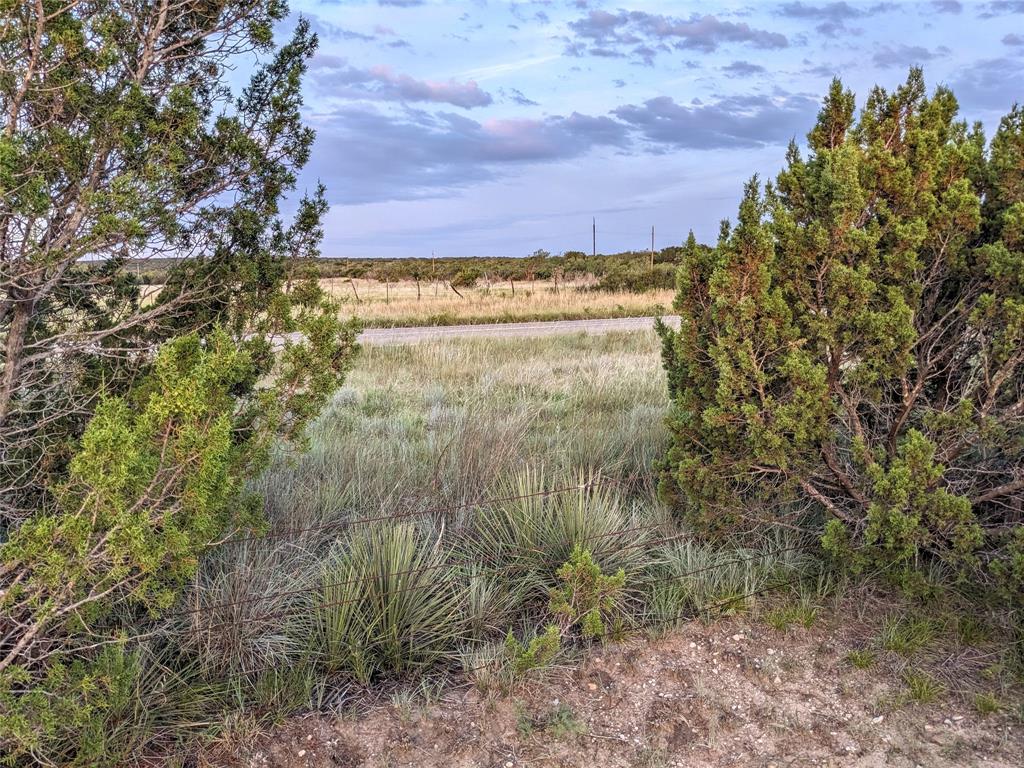 4801 Fm 1086 Property Photo 19