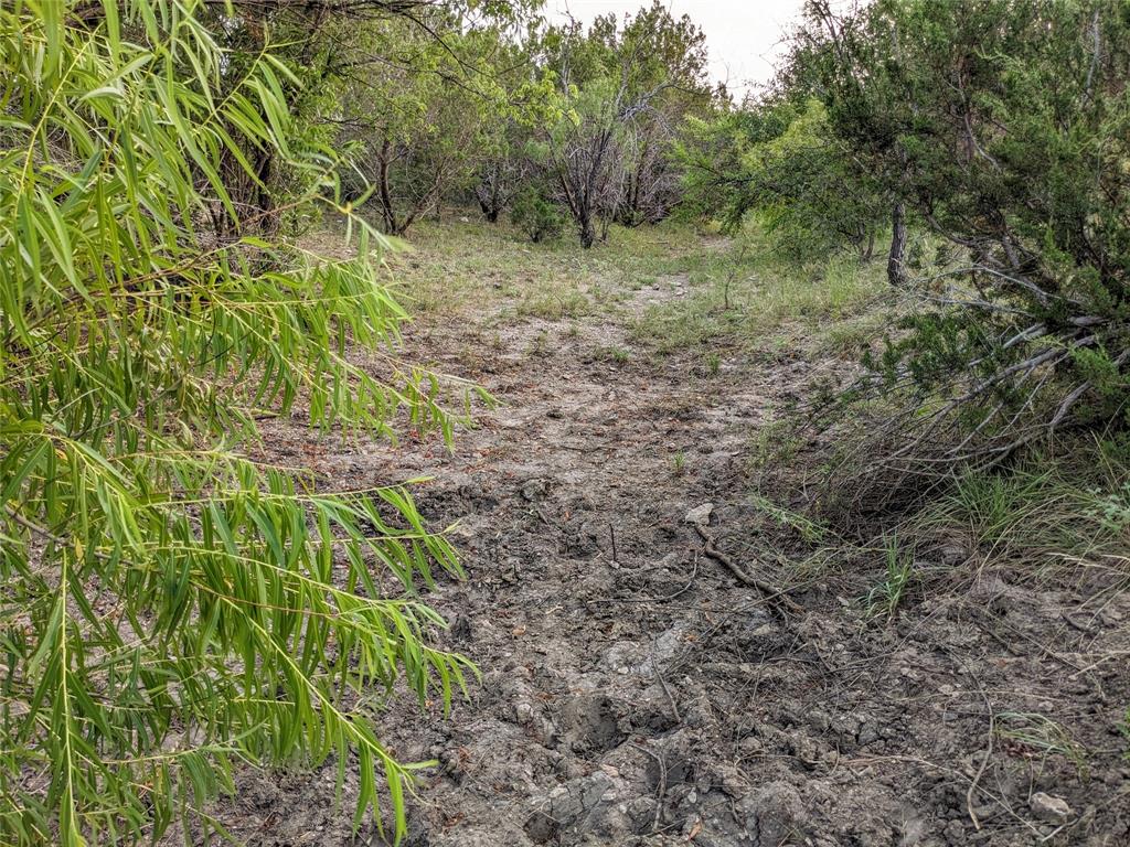 4801 Fm 1086 Property Photo 20