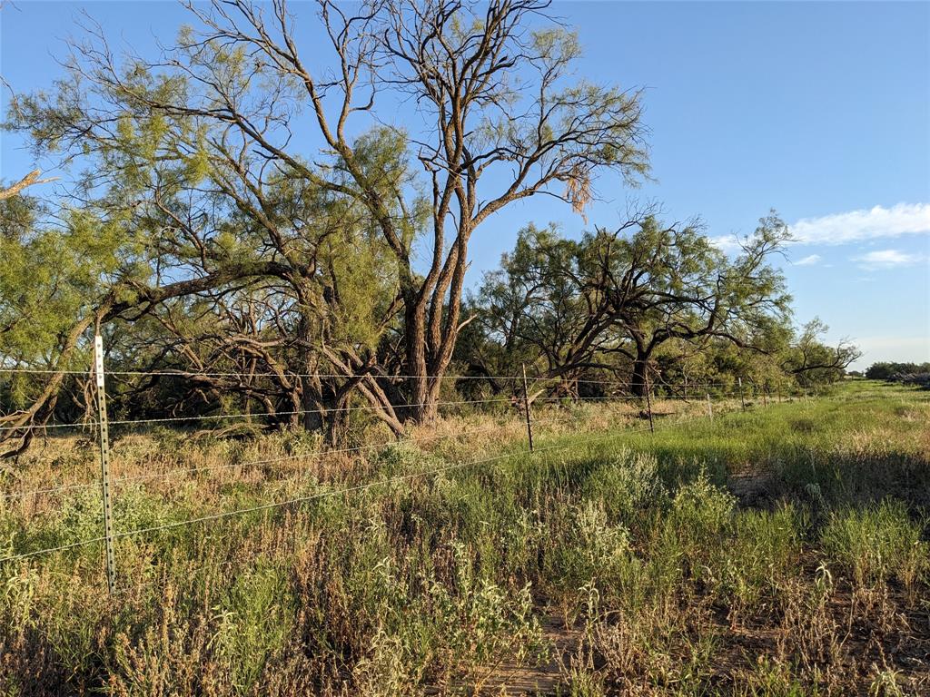 4801 Fm 1086 Property Photo 22