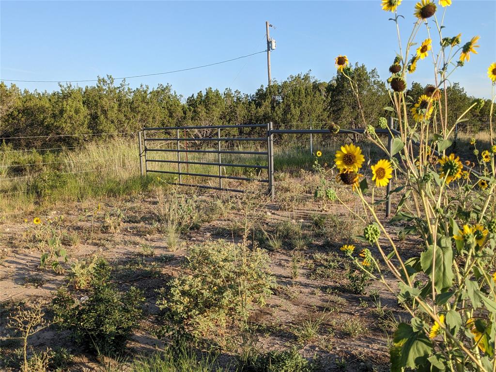 4801 Fm 1086 Property Photo 23