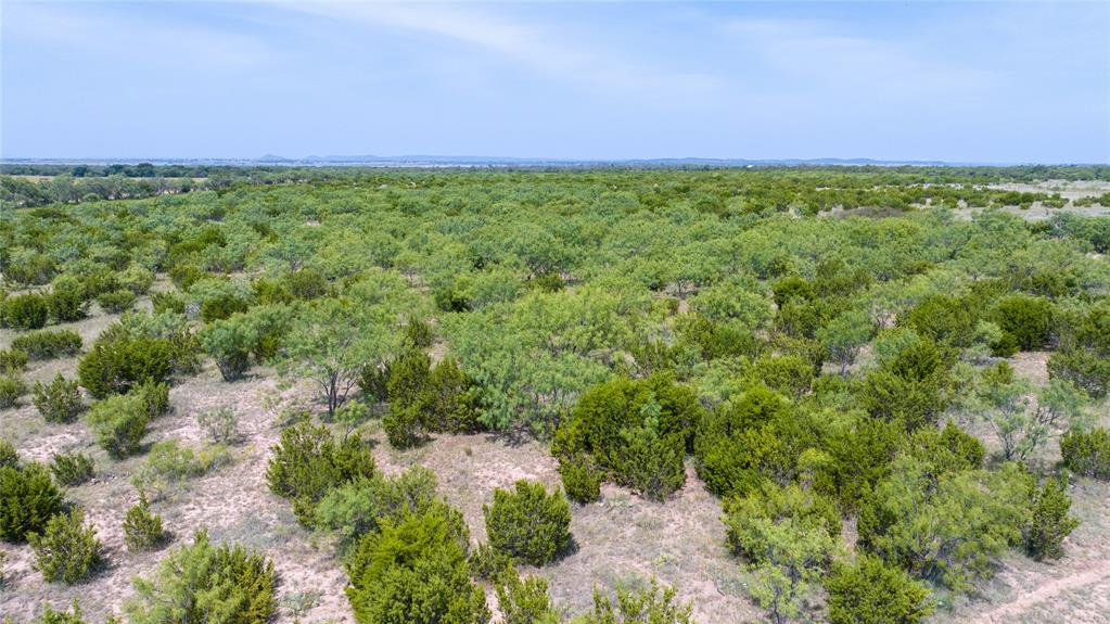 4801 Fm 1086 Property Photo 30