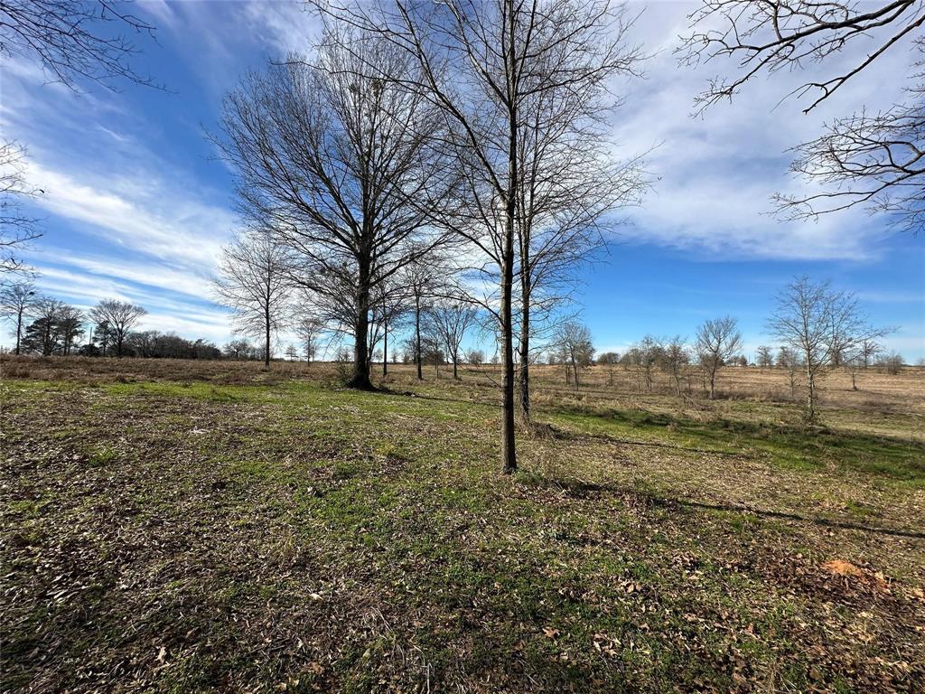 0000 County Road 2425 Property Photo 12