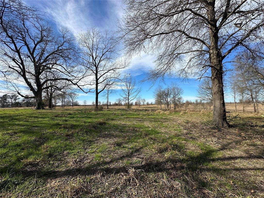 0000 County Road 2425 Property Photo 14