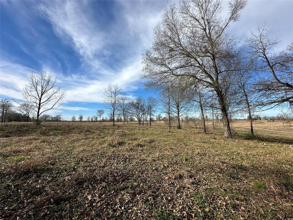 0000 County Road 2425 Property Photo 16