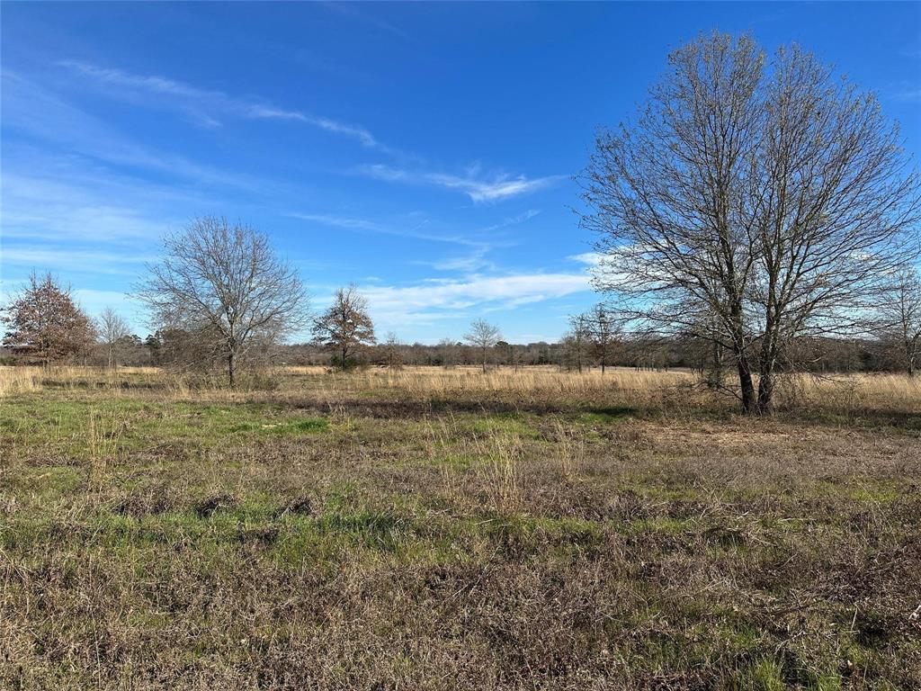 0000 County Road 2425 Property Photo 19
