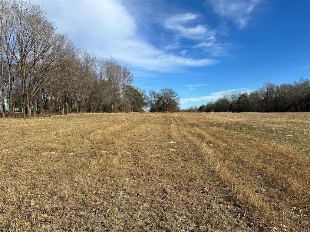 0000 Fm-2948 Road Property Photo 11
