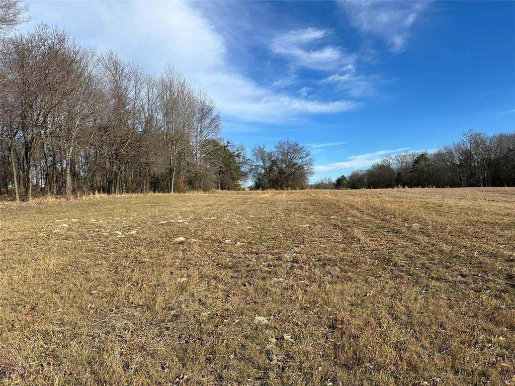 0000 Fm-2948 Road Property Photo 14