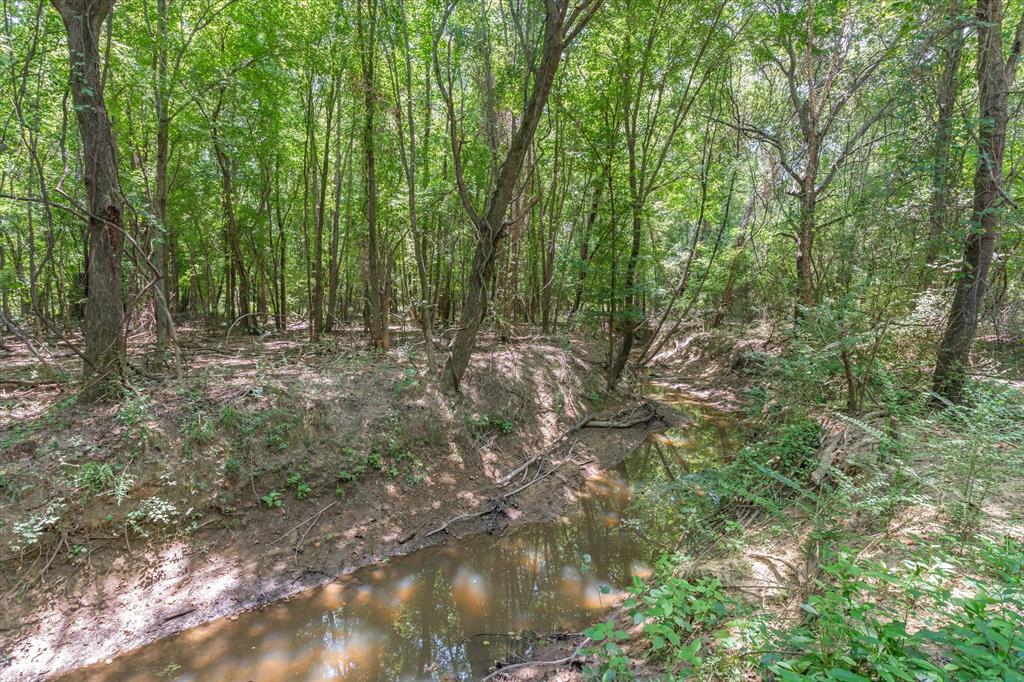 000 County Road 3520 Property Photo 12