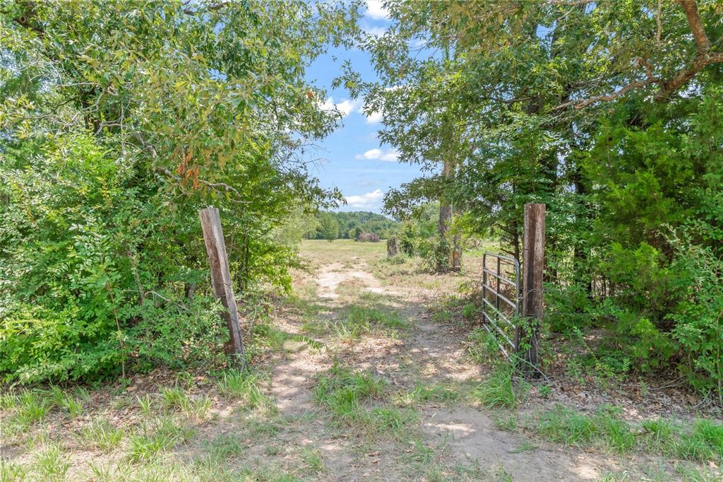 000 County Road 3520 Property Photo 13