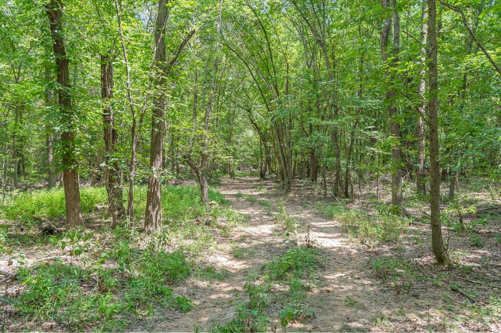 000 County Road 3520 Property Photo 14