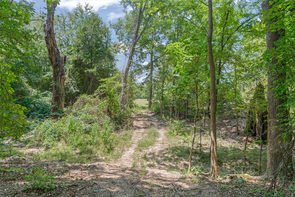 000 County Road 3520 Property Photo 19