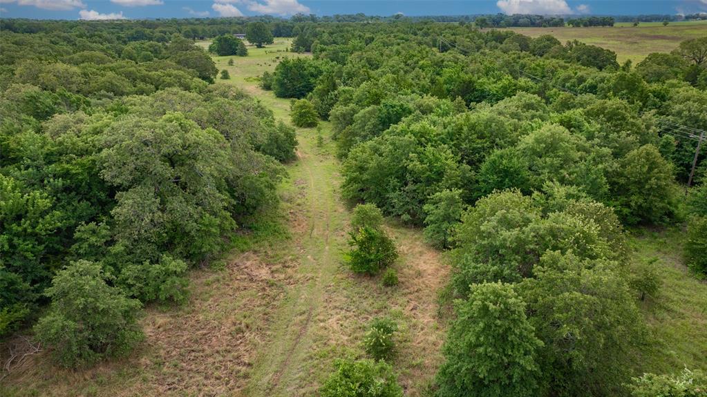 Tbd County Road 104 Property Photo 3