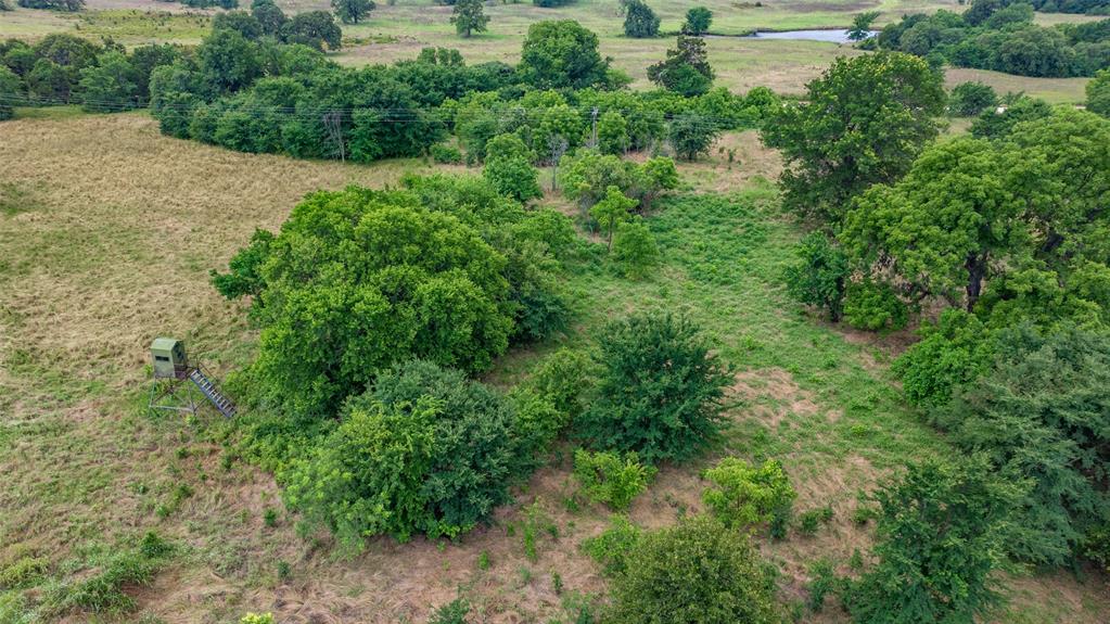 Tbd County Road 104 Property Photo 11
