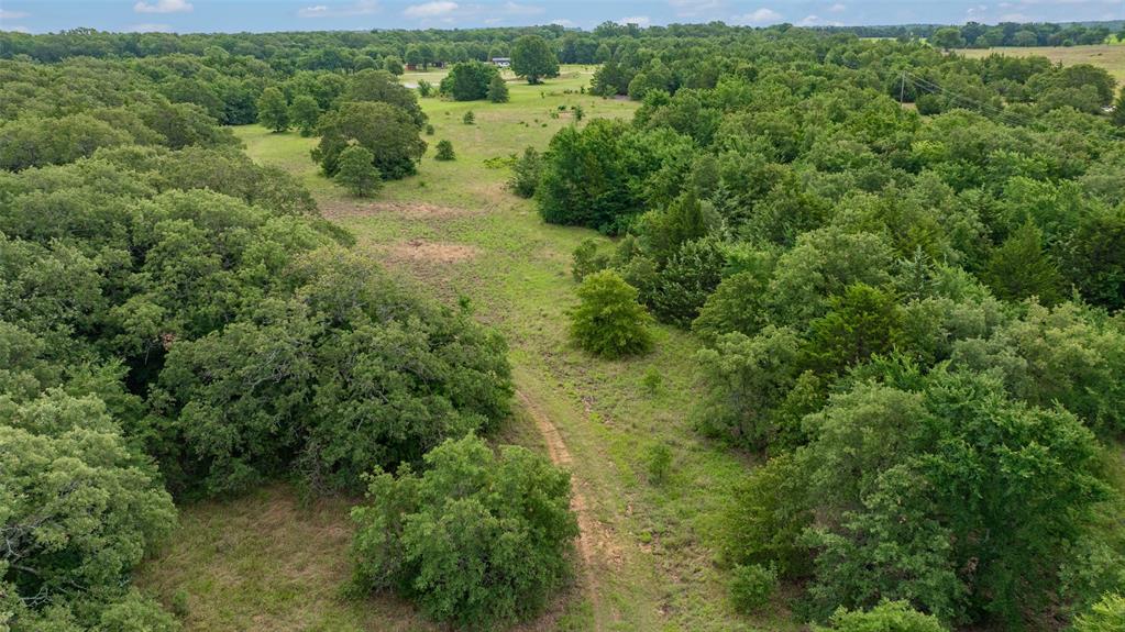 Tbd County Road 104 Property Photo 14