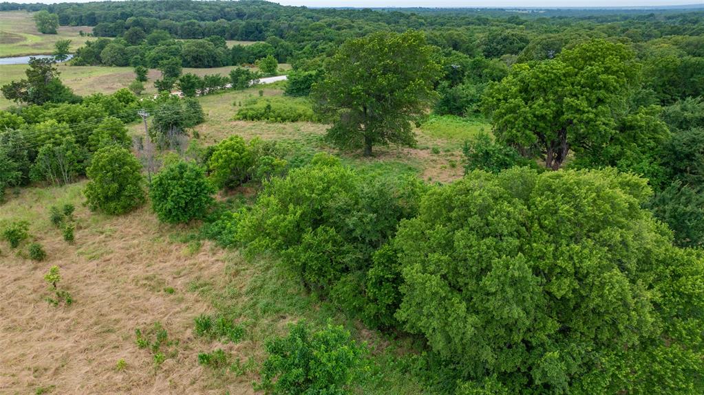 Tbd County Road 104 Property Photo 15