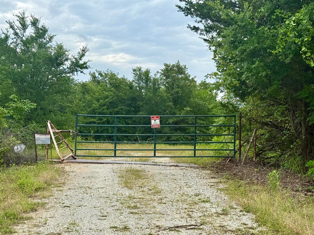 Tbd County Road 104 Property Photo 17