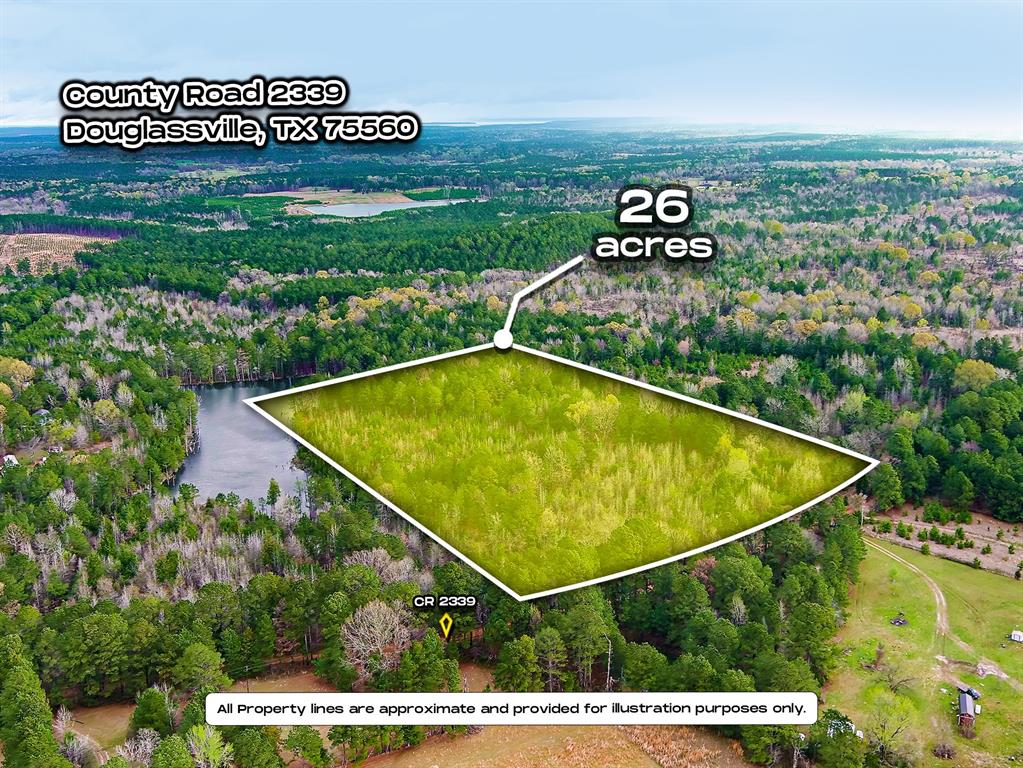 TBD County Road 2339