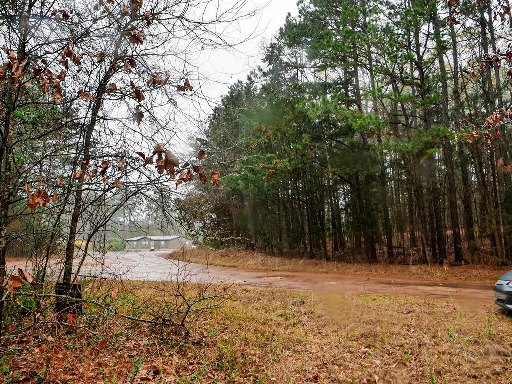 Tbd County Road 2339 Property Photo 3