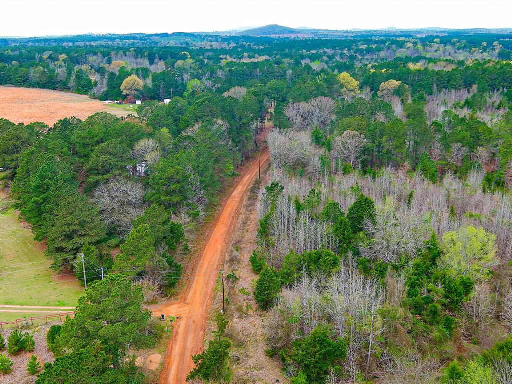 Tbd County Road 2339 Property Photo 4