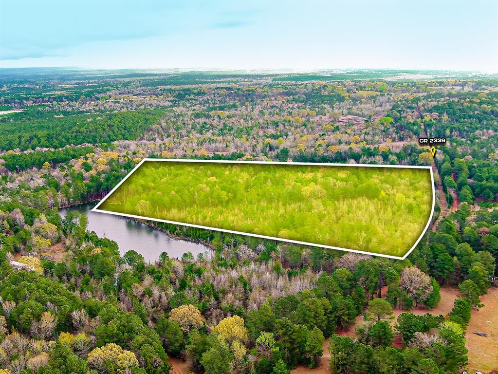 Tbd County Road 2339 Property Photo 5