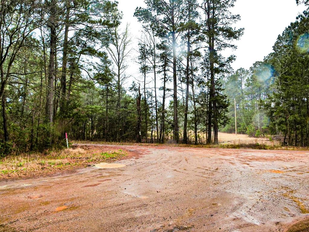 Tbd County Road 2339 Property Photo 6