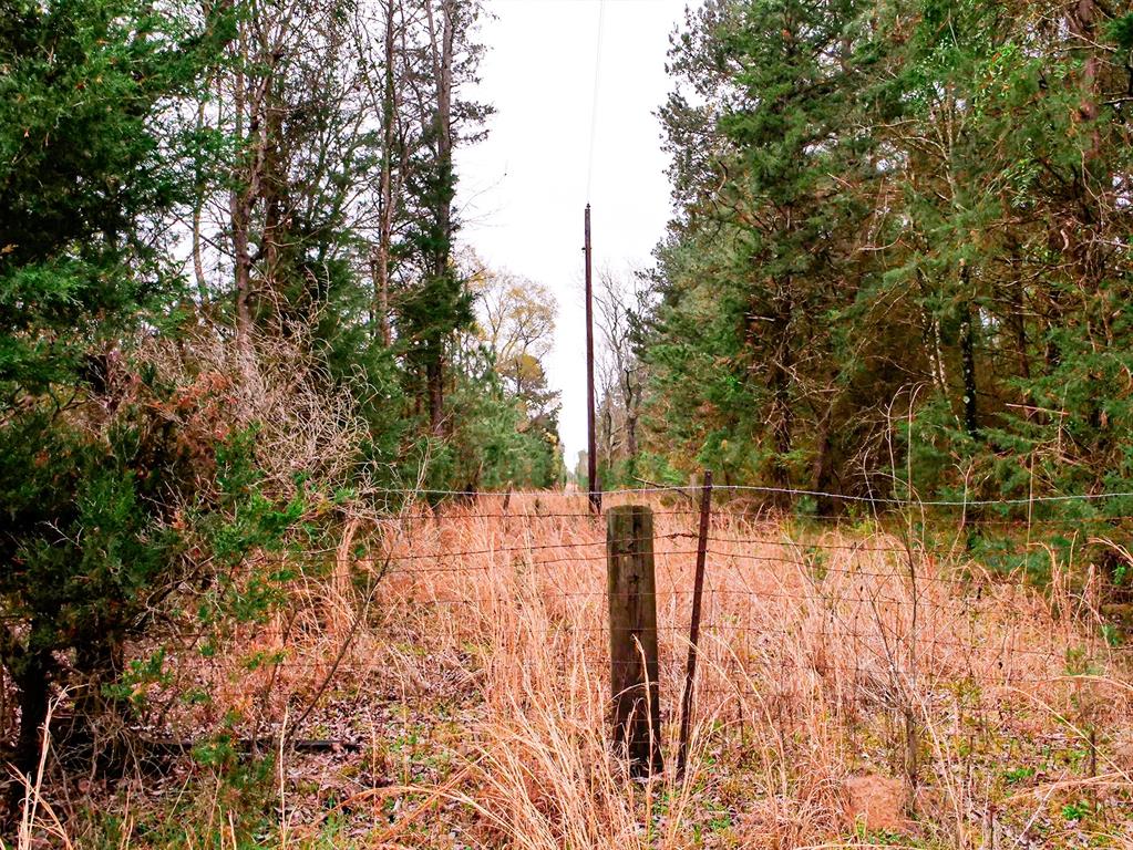 Tbd County Road 2339 Property Photo 7