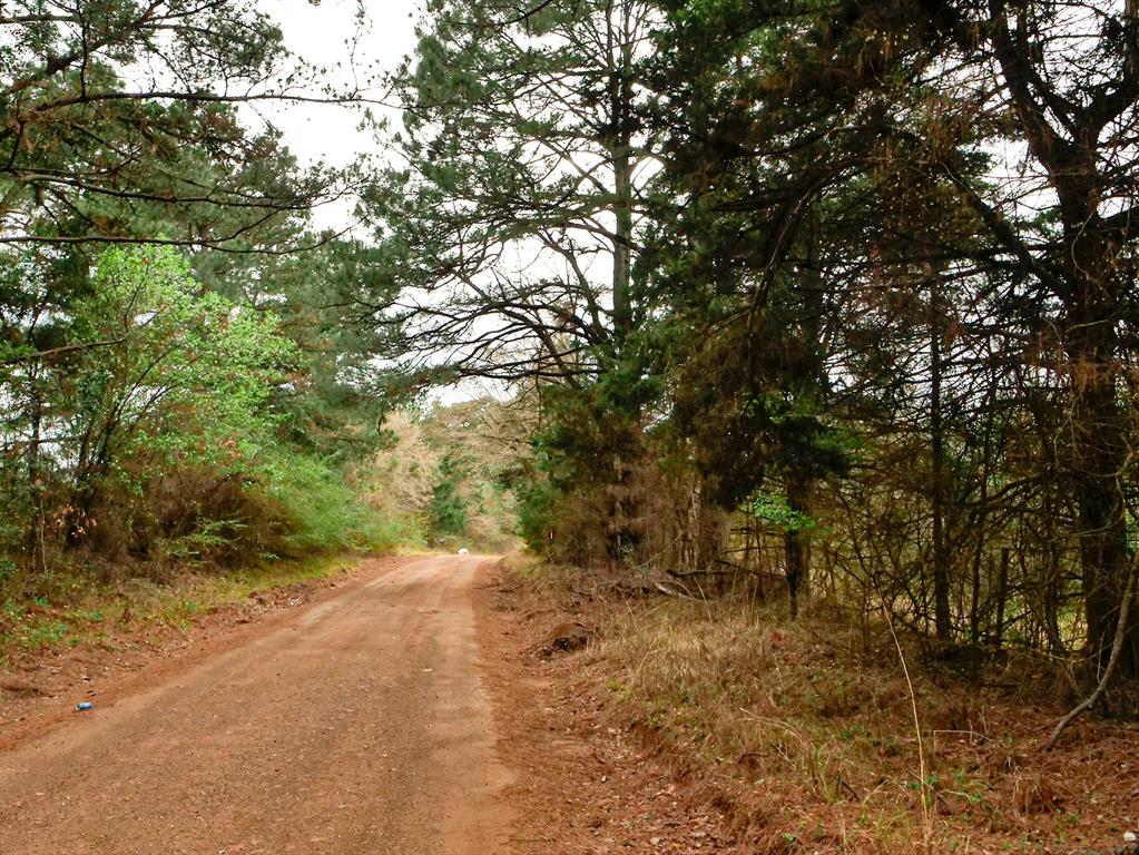 Tbd County Road 2339 Property Photo 8