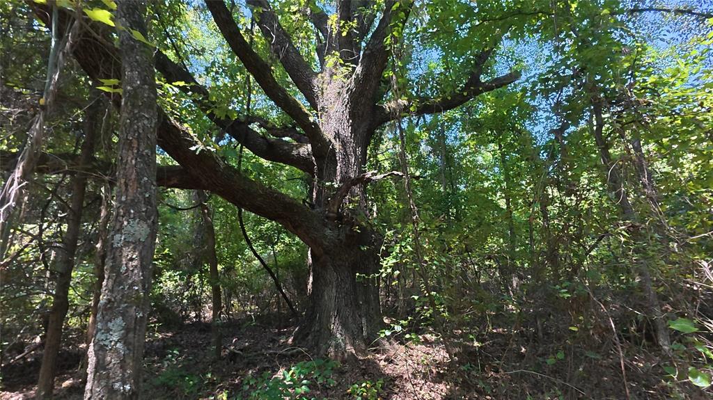 Tbd40 Cr 4244 Property Photo 20