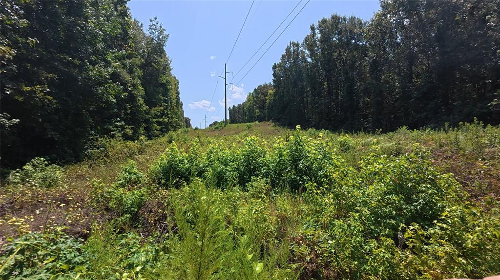 Tbd40 Cr 4244 Property Photo 22
