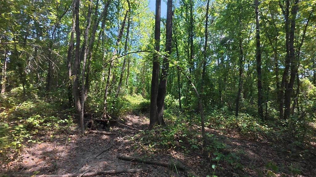 Tbd40 Cr 4244 Property Photo 26