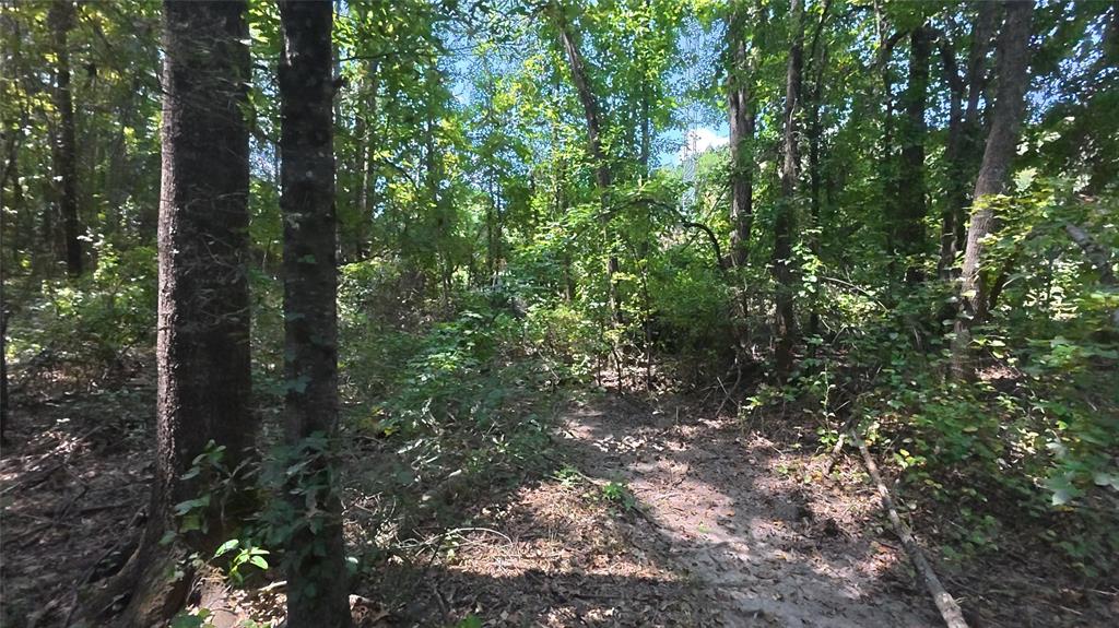 Tbd40 Cr 4244 Property Photo 27