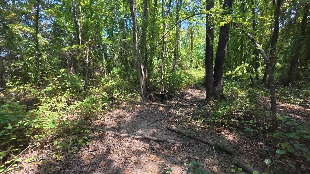 Tbd40 Cr 4244 Property Photo 28