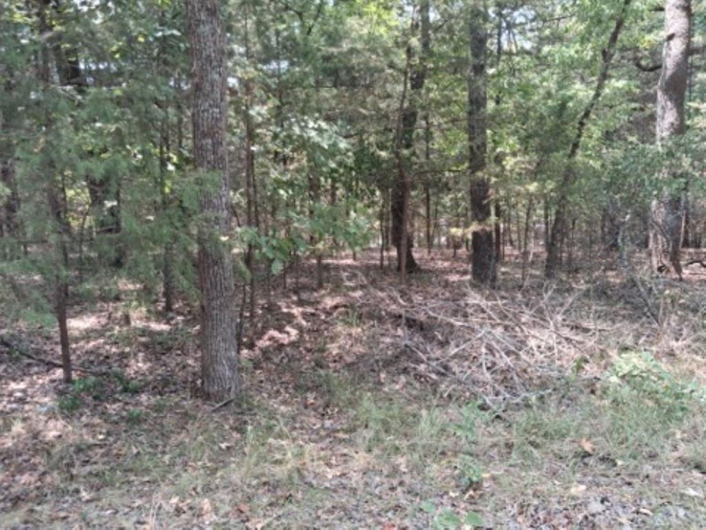 Tbd Sundown Property Photo 1