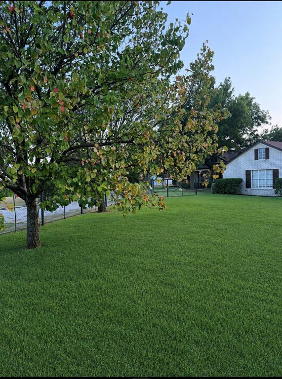 648 County Road 1591 Property Photo 17