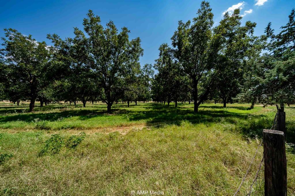 128 County Road 104 Property Photo 5