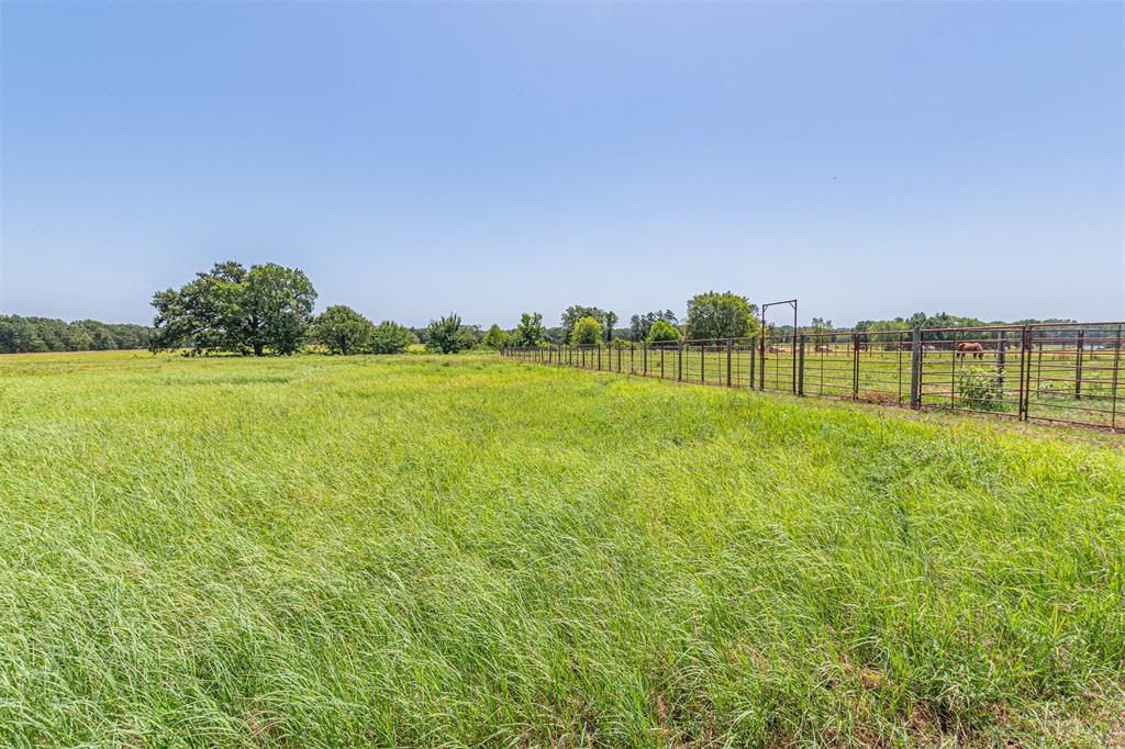 2141 Rs County Road 2250 Property Photo 24