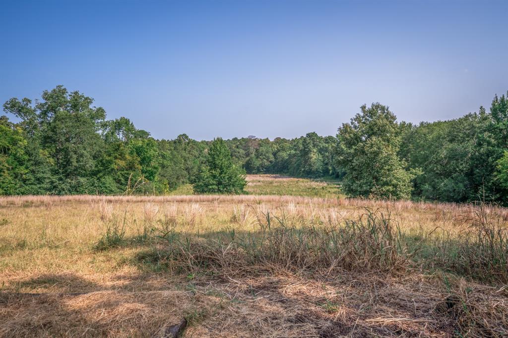 14372 Us Highway 79 Property Photo 21