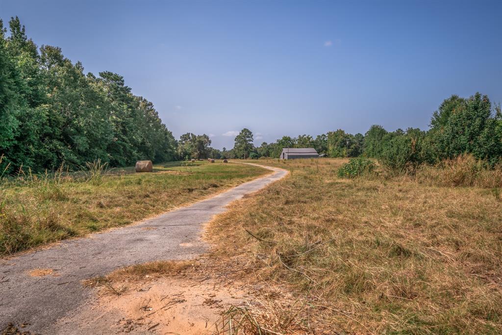 14372 Us Highway 79 Property Photo 22