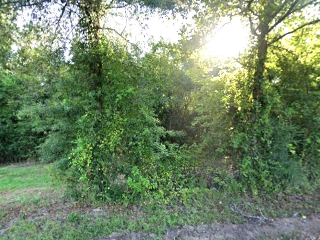 0 County Rd 224