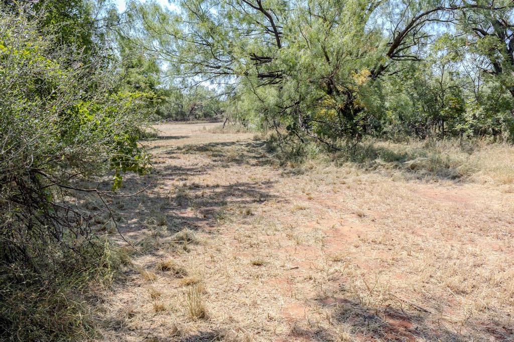 4509 Curry Lane Property Photo 31