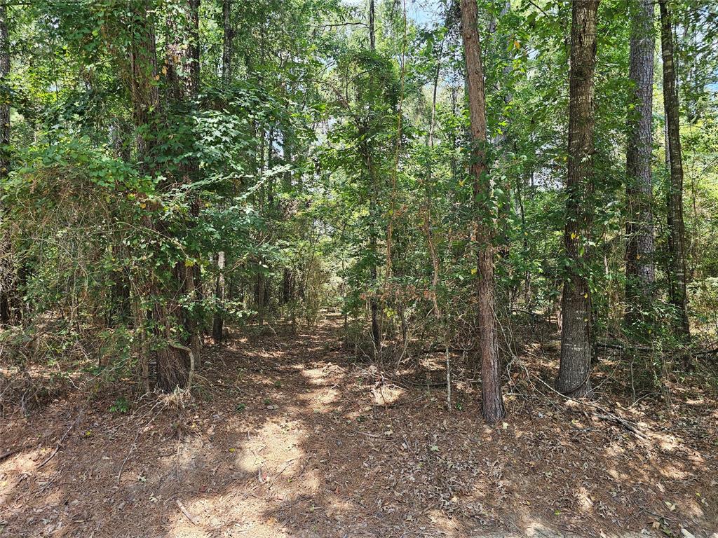 8222 Waterwood Drive Property Photo 1