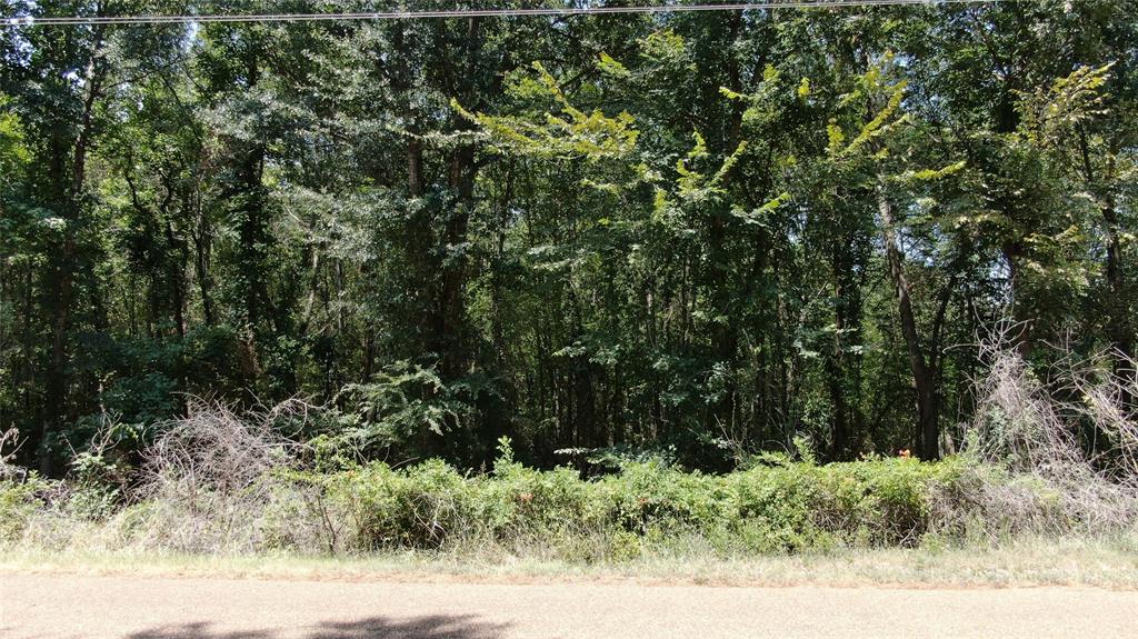 00 Big Eddy Road Property Photo 15