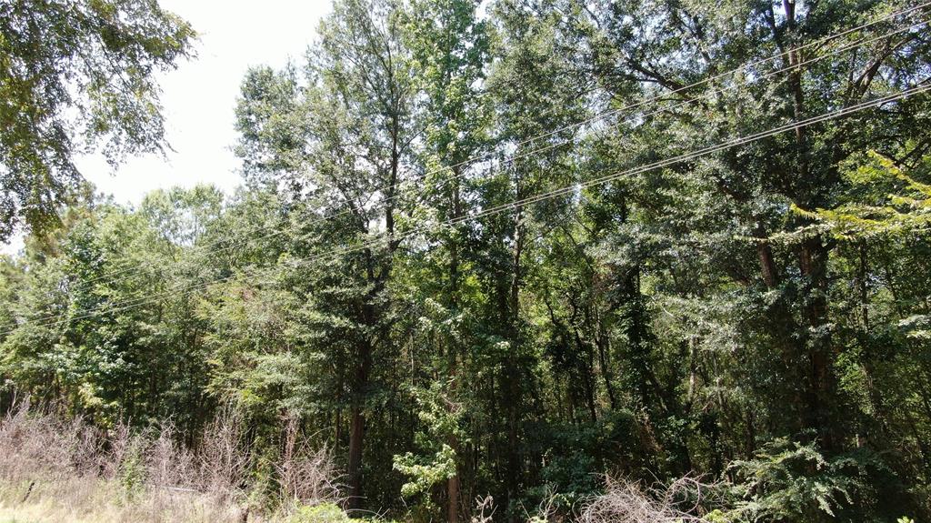 00 Big Eddy Road Property Photo 16
